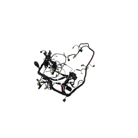 Faisceau electrique DUCATI MONSTER 1200 S ABS 2017 - 2020
