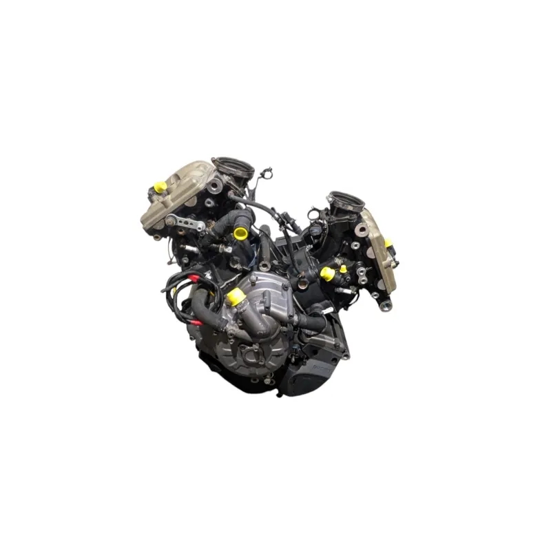 Moteur DUCATI MONSTER 1200 S ABS 2017 - 2020