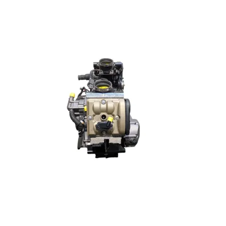 Moteur DUCATI MONSTER 1200 S ABS 2017 - 2020