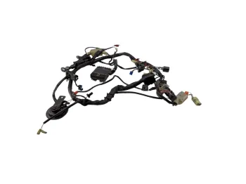Faisceau electrique HONDA CB 900 F HORNET 2002 - 2006