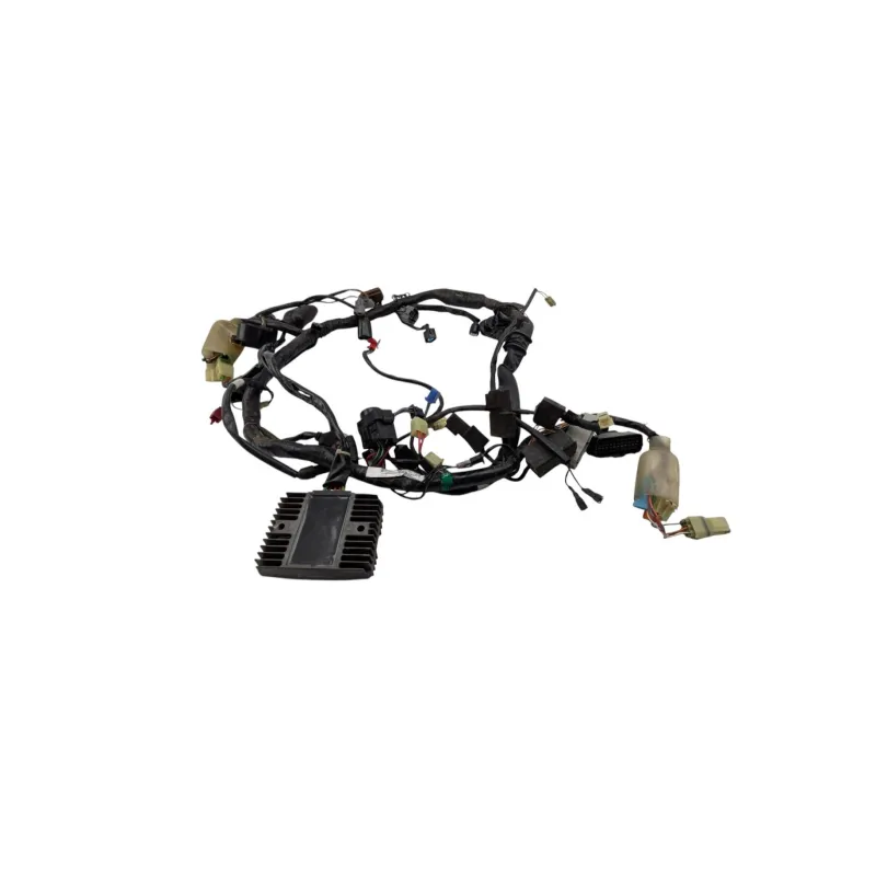 Faisceau electrique HONDA CB 900 F HORNET 2002 - 2006