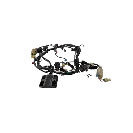 Faisceau electrique HONDA CB 900 F HORNET 2002 - 2006