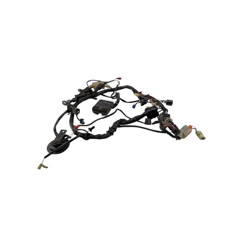 Faisceau electrique HONDA CB 900 F HORNET 2002 - 2006