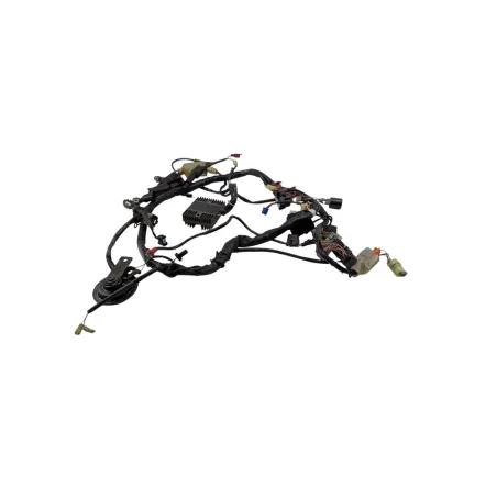 Faisceau electrique HONDA CB 900 F HORNET 2002 - 2006