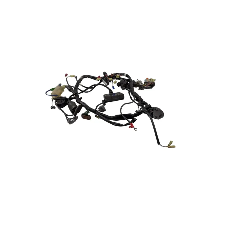 Faisceau electrique HONDA CB 900 F HORNET 2002 - 2006