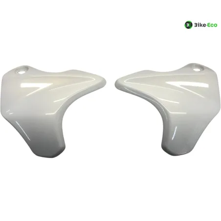 Cache carenage face avant SUZUKI SFV 650 2009-2016 GLADIUS