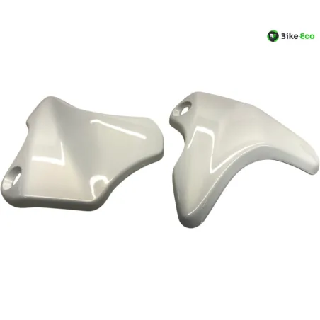 Cache carenage face avant SUZUKI SFV 650 2009-2016 GLADIUS