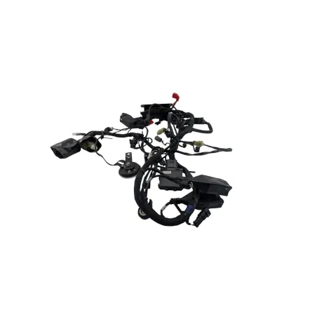 Faisceau electrique MOTO MORINI XCAPE 650 2021 - 2025