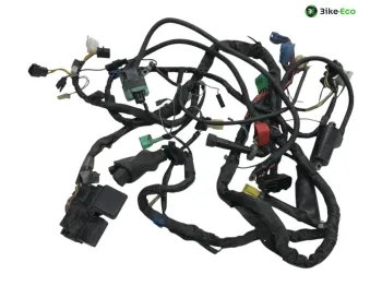 Faisceau electrique SUZUKI SV 650 N 1999-2002