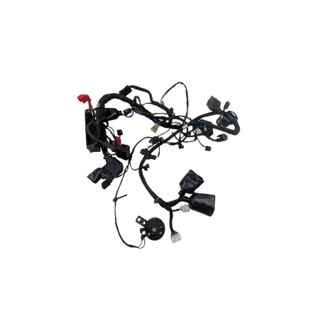 Faisceau electrique MOTO MORINI XCAPE 650 2021 - 2025