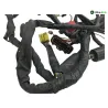 Faisceau electrique SUZUKI SV 650 N 1999-2002 Faisceau electrique SUZUKI SV 650 N 1999-2002