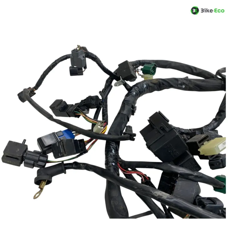 Faisceau electrique SUZUKI AN 650 2006-2010 BURGMAN