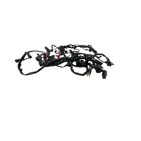 Faisceau electrique HONDA XL 750 TRANSALP 2023 - 2026