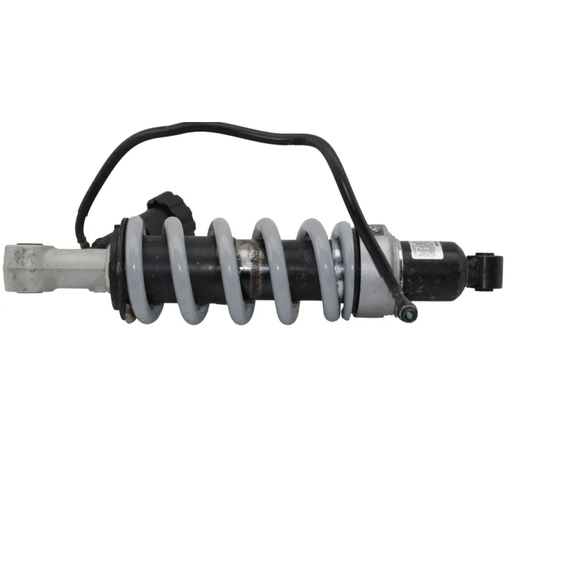 Amortisseur BMW R 850 R 2003 - 2006