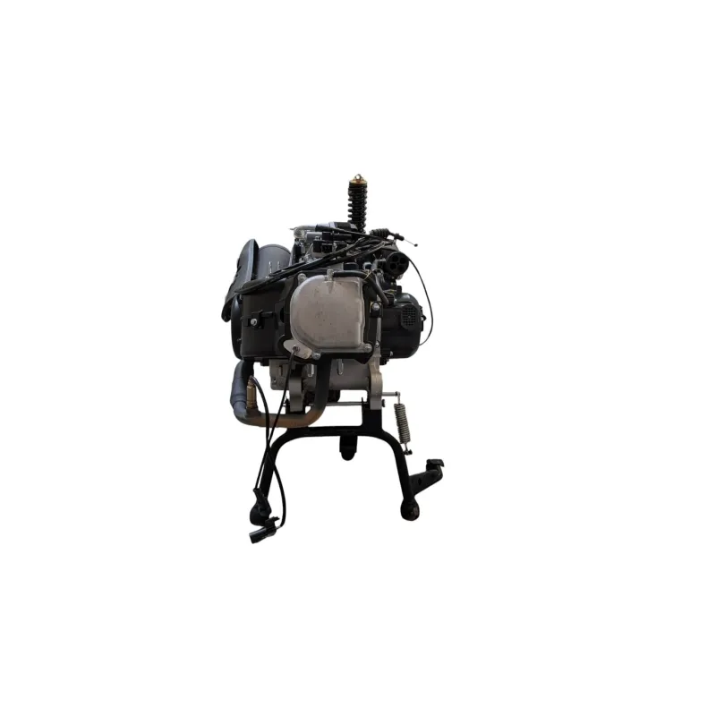 Moteur IMF INDUSTRIE QUOKKA 50 2025 - 2026