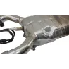 Collecteur (echappement) BMW R 850 R 2003 - 2006