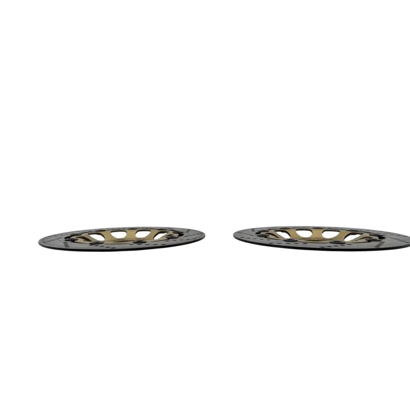 Disque frein avant SUZUKI GSF 600 BANDIT N 1995 - 1999
