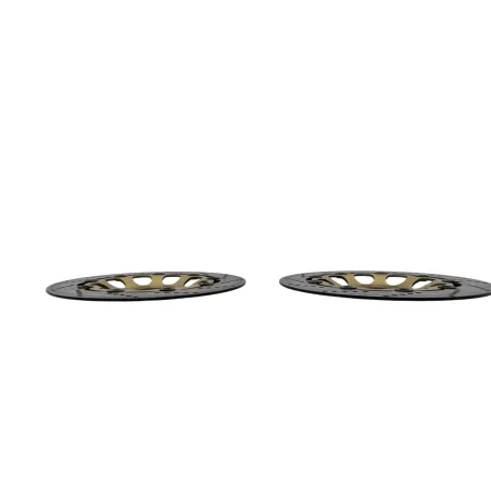 Disque frein avant SUZUKI GSF 600 BANDIT N 1995 - 1999