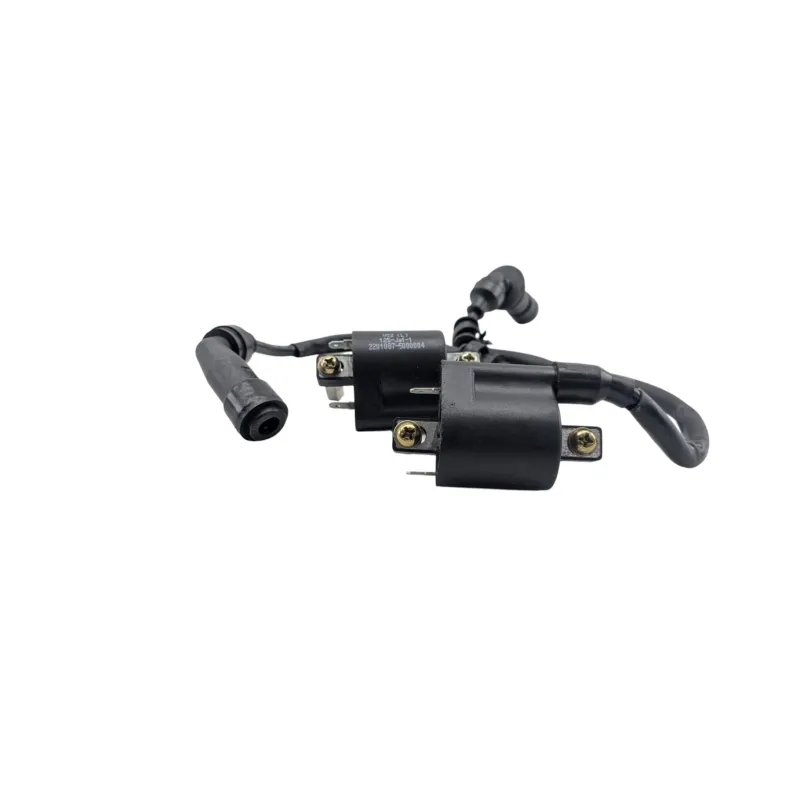 Bobine allumage BENELLI BN 125 2022 - 2024