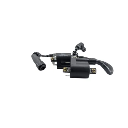 Bobine allumage BENELLI BN 125 2022 - 2024