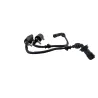 Bobine allumage BENELLI BN 125 2022 - 2024
