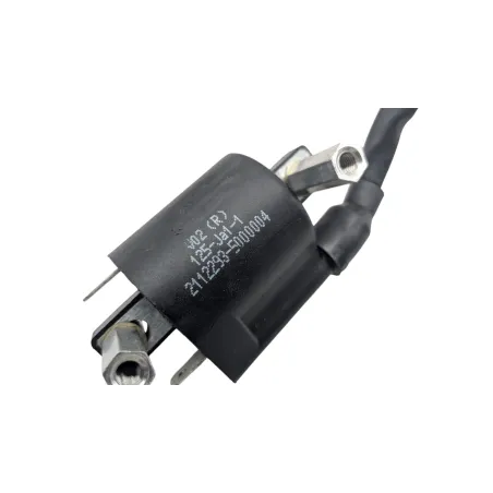 Bobine allumage BENELLI BN 125 2022 - 2024