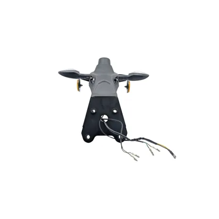 Support de plaque et eclairage BENELLI BN 125 2022 - 2024