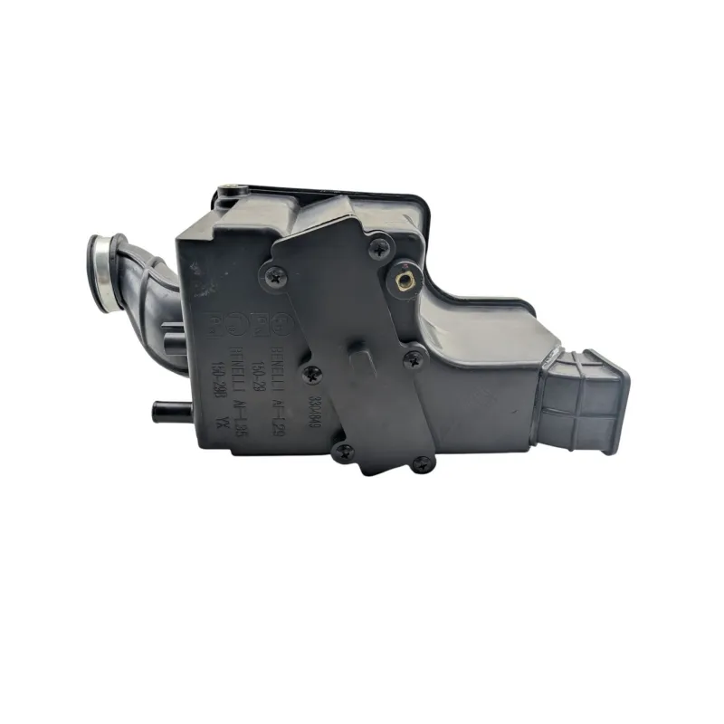 Boite a air BENELLI BN 125 2022 - 2024