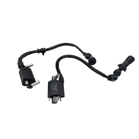 Bobine allumage BENELLI BN 125 2022 - 2024