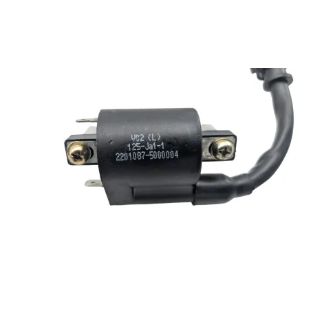 Bobine allumage BENELLI BN 125 2022 - 2024