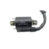 Bobine allumage BENELLI BN 125 2022 - 2024