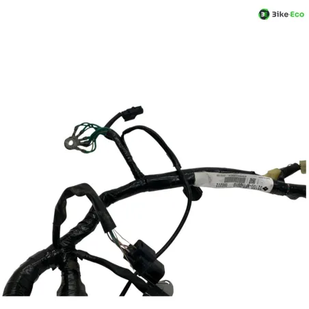 Faisceau electrique HONDA FJS 400 2009-2015 SILVER WING SWT