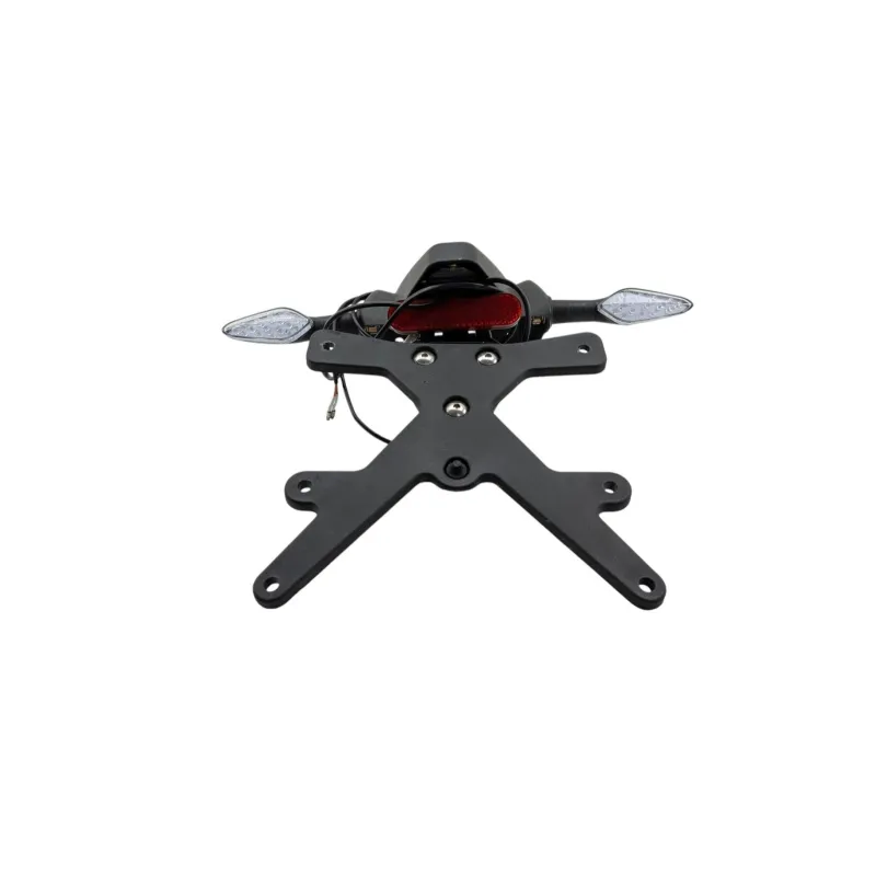 Support de plaque et eclairage ZONTES GK 125 ABS 2022 - 2024