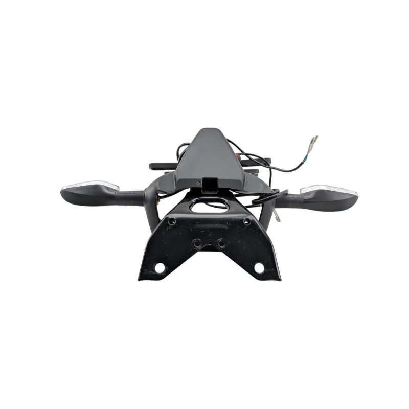 Support de plaque et eclairage ZONTES GK 125 ABS 2022 - 2024