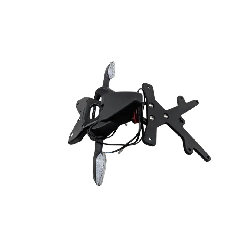 Support de plaque et eclairage ZONTES GK 125 ABS 2022 - 2024