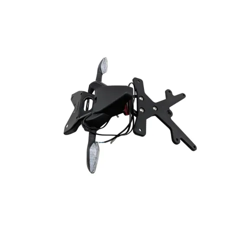 Support de plaque et eclairage ZONTES GK 125 ABS 2022 - 2024