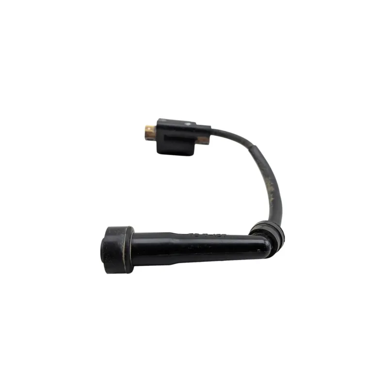 Bobine allumage YAMAHA YFM 250 RAPTOR 2008 - 2014