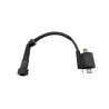 Bobine allumage YAMAHA YFM 250 RAPTOR 2008 - 2014