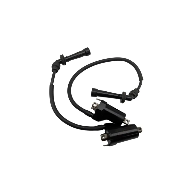 Bobine allumage SUZUKI SV 650 N 1998 - 2002