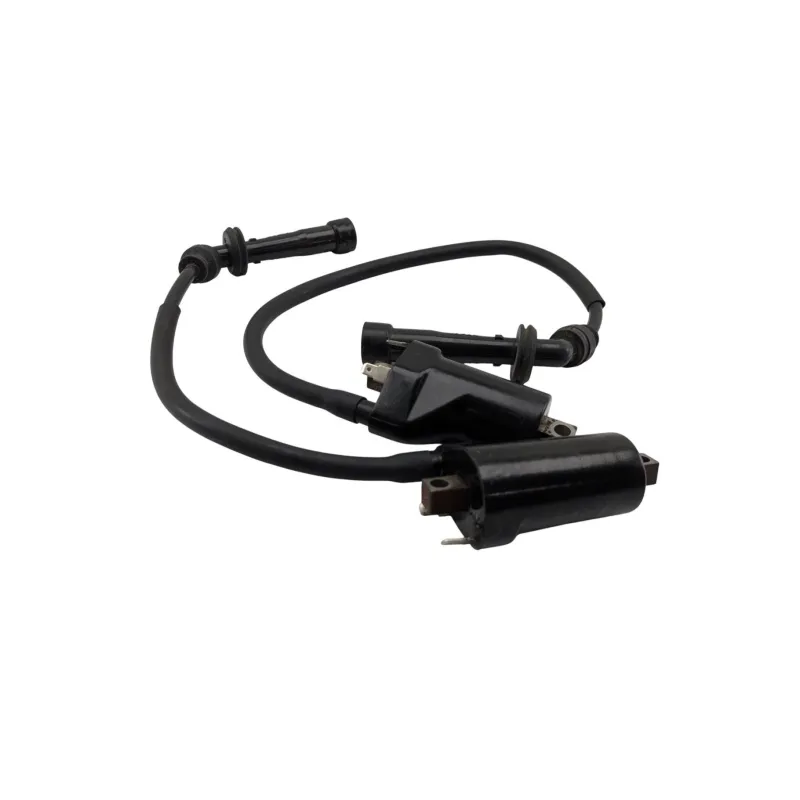 Bobine allumage SUZUKI SV 650 N 1998 - 2002