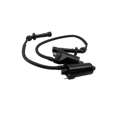 Bobine allumage SUZUKI SV 650 N 1998 - 2002