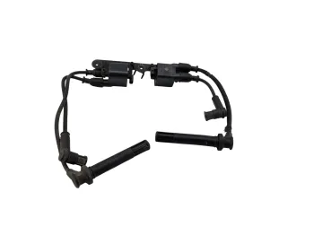 Bobine allumage DUCATI MONSTER 1200 S ABS 2017 - 2020