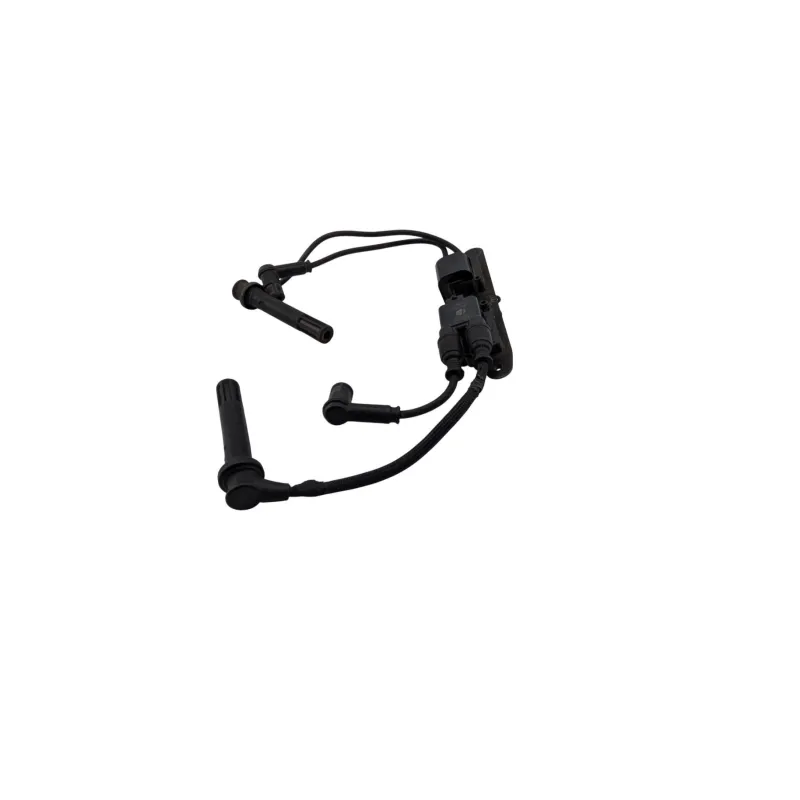 Bobine allumage DUCATI MONSTER 1200 S ABS 2017 - 2020