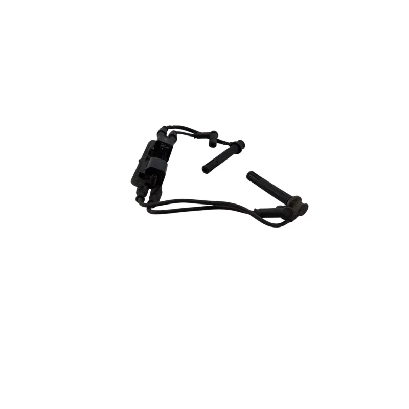 Bobine allumage DUCATI MONSTER 1200 S ABS 2017 - 2020