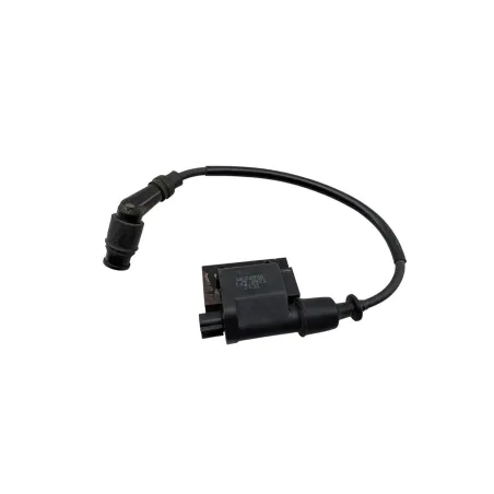 Bobine allumage TGB BLADE 550 SE FI 2013 - 2014