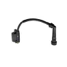 Bobine allumage YAMAHA YFM 250 RAPTOR 2008 - 2014