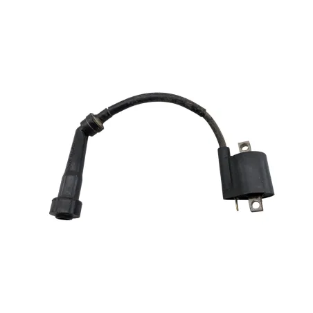 Bobine allumage YAMAHA YFM 250 RAPTOR 2008 - 2014