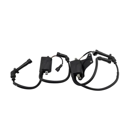 Bobine allumage SUZUKI SV 650 N 2003 - 2009