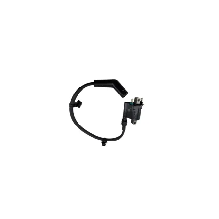Bobine allumage YAMAHA YPR 125 XMAX ABS 2024 - 2025