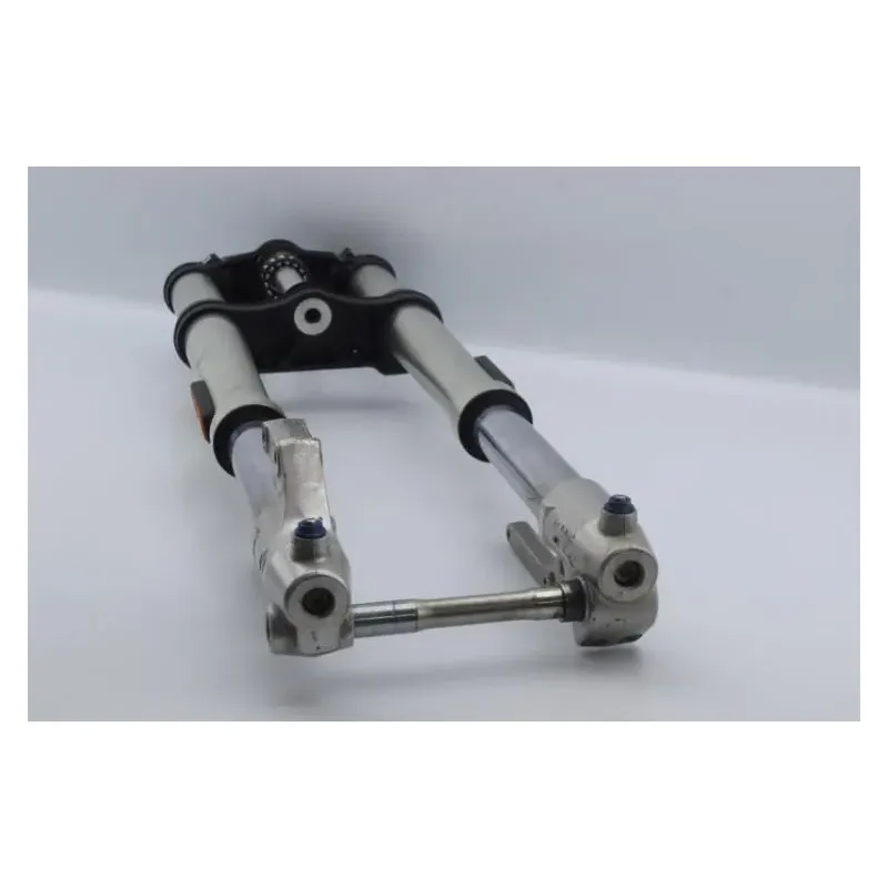 Fourche complete ZERO MOTOR ZF 13.0 DSR ABS 2017 - 2018